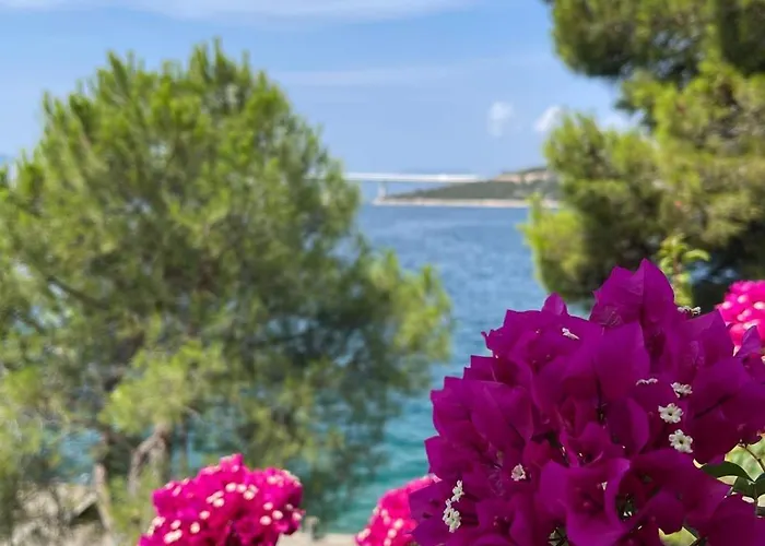 Marta Apartamento Klek